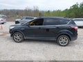 Photo 14 of 16 — 2017 Ford Escape
