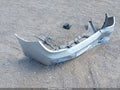 2007 Pontiac G6 — photo 12 of 12 | VIN 1G2ZH17N174198554