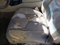 Photo 6 of 11 — 2004 Cadillac Escalade EXT