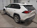 2019 Toyota RAV4 — photo 3 of 16 | VIN JTMP1RFV4KJ020185