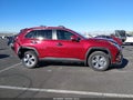 2024 Toyota RAV4 — photo 14 of 17 | VIN 2T3W1RFV7RW359451