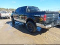 2010 Ford F-150 — photo 3 of 15 | VIN 1FTFW1EV2AFA25774