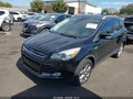 2016 Ford Escape — photo 2 of 14 | VIN 1FMCU0J96GUC82528