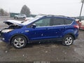 Photo 14 of 16 — 2014 Ford Escape