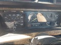 Photo 7 of 10 — 1986 Ford F-150 Lightning