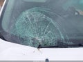 Photo 18 of 19 — 2022 Ford Transit Connect