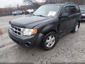 Photo 6 of 15 — 2008 Ford Escape