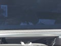 Photo 15 of 16 — 2026 Tesla Model S