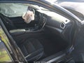 2016 Nissan Maxima — photo 5 of 16 | VIN 1N4AA6AP3GC901278