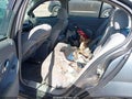 2004 Chevrolet Malibu — photo 8 of 16 | VIN 1G1ZT52824F230469
