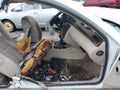 Photo 5 of 14 — 2011 Chevrolet Impala