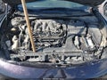 2010 Nissan Maxima — photo 10 of 11 | VIN 1N4AA5AP5AC863215