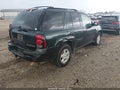 2002 Chevrolet Trailblazer — photo 4 of 11 | VIN 1GNDS13S322379590