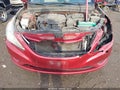 2013 Hyundai Sonata — photo 12 of 14 | VIN 5NPEB4AC5DH677781