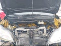 Photo 10 of 15 — 2014 Nissan NV 200