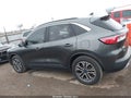 Photo 14 of 16 — 2020 Ford Escape