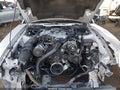 Photo 10 of 17 — 2003 Ford Mustang