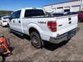 2014 Ford F-150 — photo 3 of 21 | VIN 1FTFW1EF3EFB50619