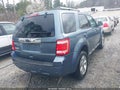 Photo 4 of 15 — 2010 Ford Escape