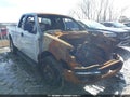 2007 Ford F-150 — photo 1 of 11 | VIN 1FTPW14V17FA93157