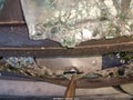 2012 Ford F-550 Chassis — photo 9 of 19 | VIN 1FD0W5GT5CEA31856