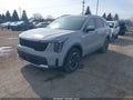 Photo 2 of 16 — 2025 Kia Sorento
