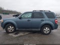 Photo 14 of 16 — 2011 Ford Escape
