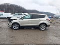 Photo 14 of 16 — 2017 Ford Escape