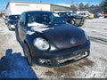 Photo 6 of 15 — 2016 Volkswagen Beetle