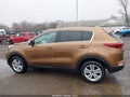 Photo 14 of 16 — 2017 Kia Sportage