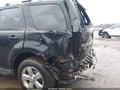 Photo 17 of 19 — 2010 Ford Escape