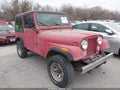 1983 Jeep CJ — photo 1 of 16 | VIN 1JCCN87E5DT076766
