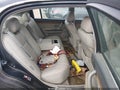 2005 Kia Amanti — photo 8 of 11 | VIN KNALD124455074326