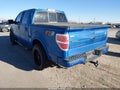 2010 Ford F-150 — photo 3 of 16 | VIN 1FTEW1C88AKE25922