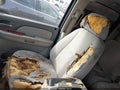 Photo 13 of 14 — 2007 Chevrolet Avalanche