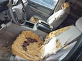 Photo 14 of 14 — 2007 Chevrolet Avalanche