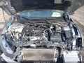 Photo 10 of 17 — 2019 Honda Civic