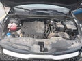 Photo 10 of 16 — 2024 Kia Sportage