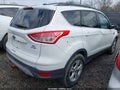 Photo 4 of 11 — 2013 Ford Escape
