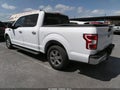 2019 Ford F-150 — photo 3 of 14 | VIN 1FTEW1C42KKE32993