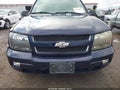 2008 Chevrolet Trailblazer — photo 12 of 20 | VIN 1GNDT13S282119915