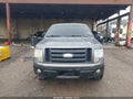 Photo 12 of 16 — 2009 Ford F-150