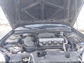 2001 Honda Civic — photo 10 of 22 | VIN 1HGEM22921L064883