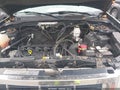 Photo 10 of 11 — 2012 Ford Escape