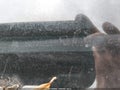 Photo 9 of 11 — 2012 Chevrolet Equinox