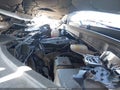Photo 10 of 17 — 2025 Kia Carnival