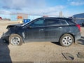 Photo 14 of 16 — 2012 Cadillac SRX