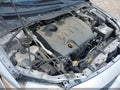 2010 Toyota Corolla — photo 16 of 17 | VIN JTDBU4EE2A9099104