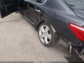 Photo 6 of 16 — 2010 Lexus LS 460