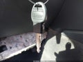 2010 Dodge Charger — photo 11 of 11 | VIN 2B3CA3CV4AH250424
